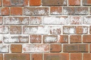 efflorescence test for brick